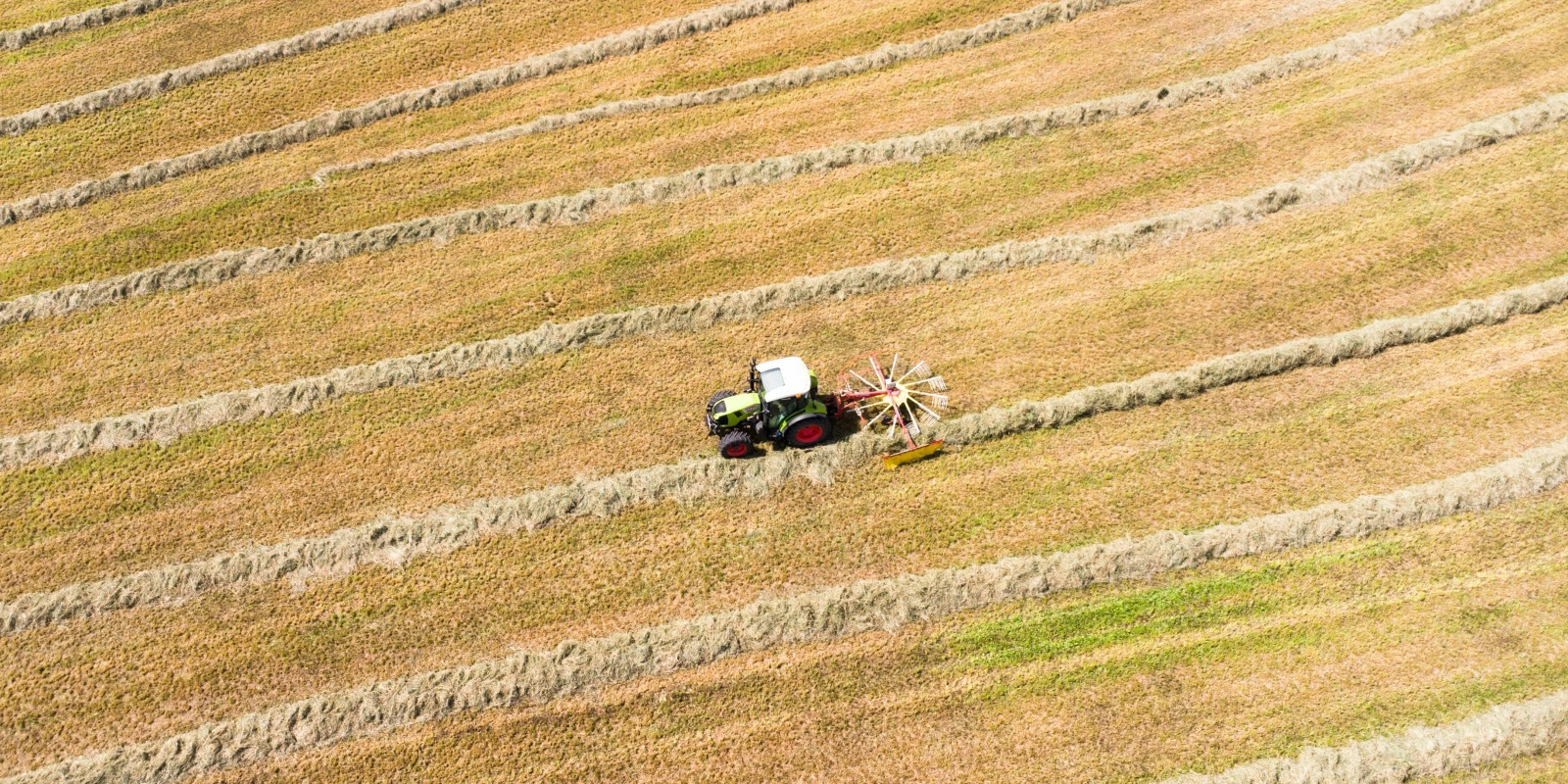 Double Licence Philosophie et Histoire : Une Introduction Double Licence Philosophie et Histoire : Une Introduction