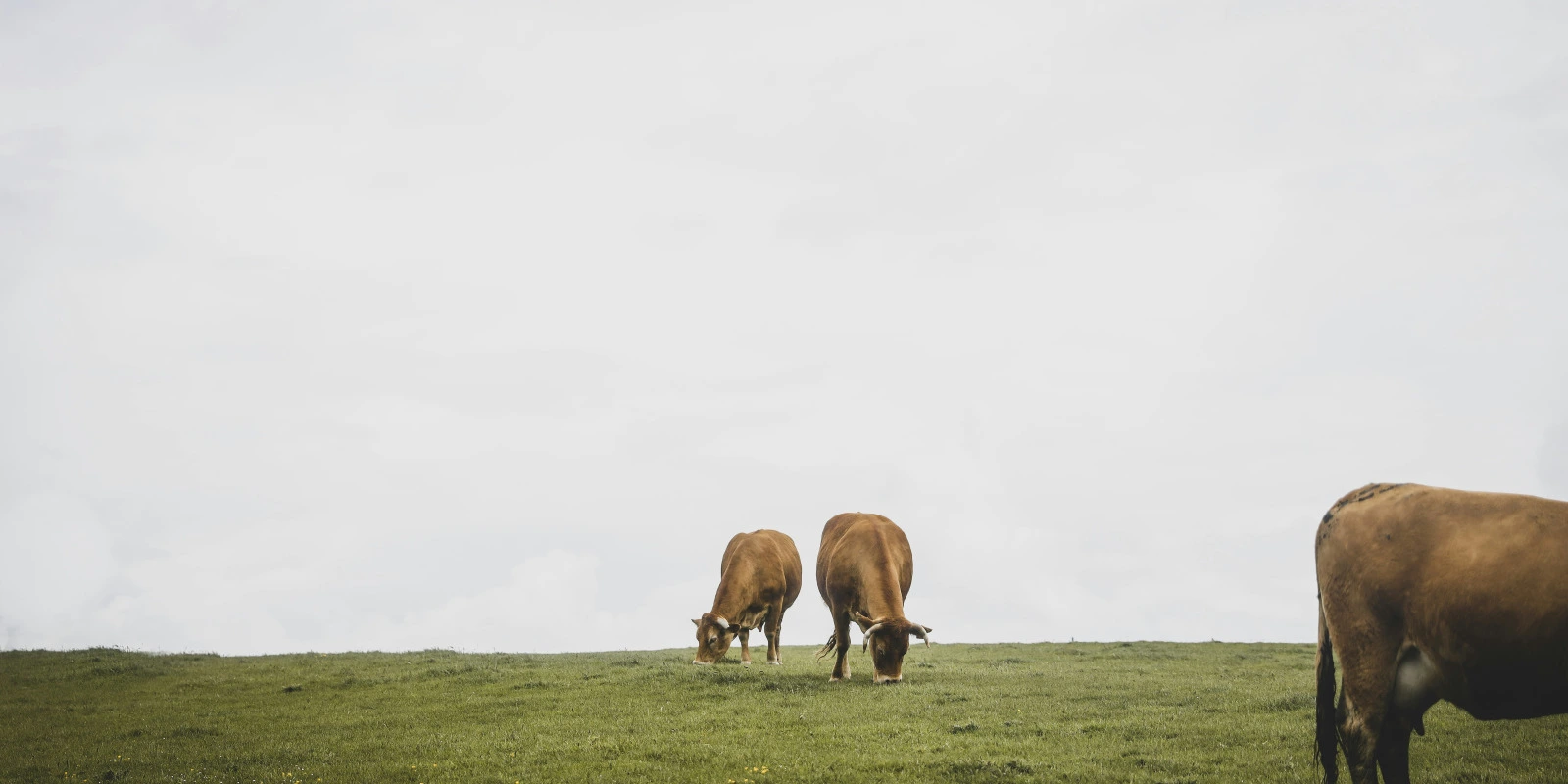 Études de Philosophie à la Sorbonne : Faites le Bon Choix