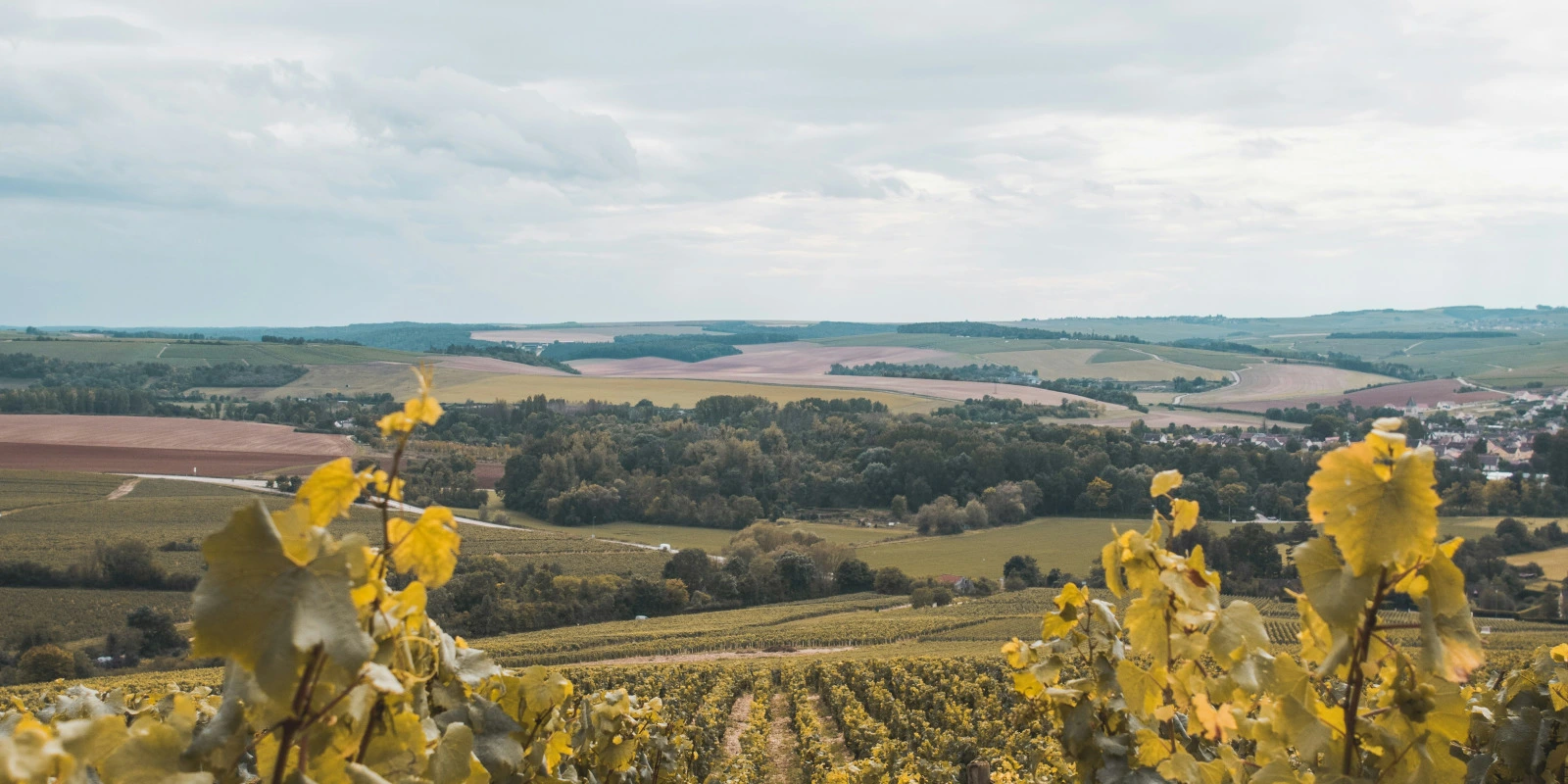 Formation en Philosophie : Adultes et Étudiants