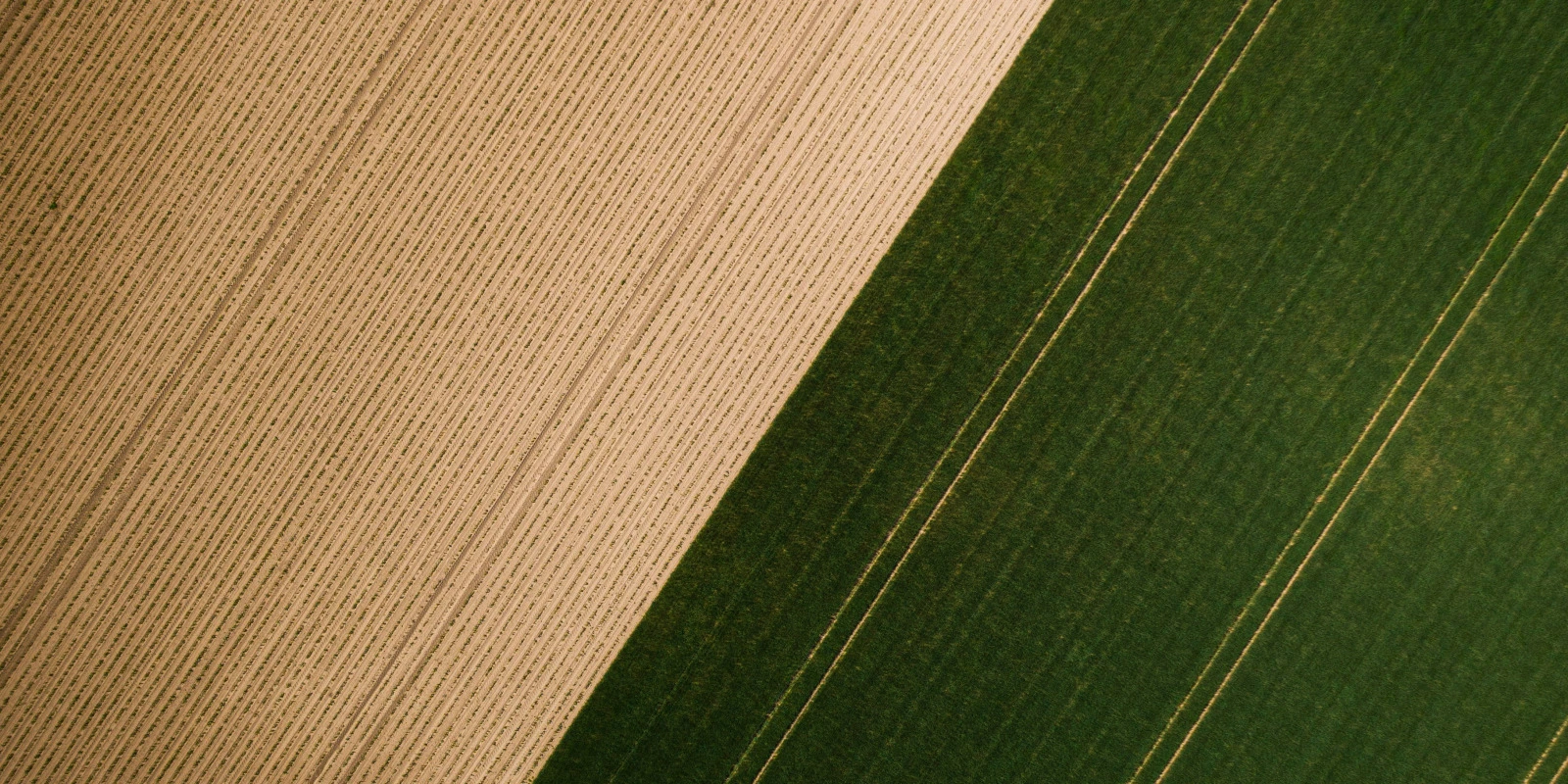 Licence Philosophie : Les Compétences Acquises Licence Philosophie : Les Compétences Acquises