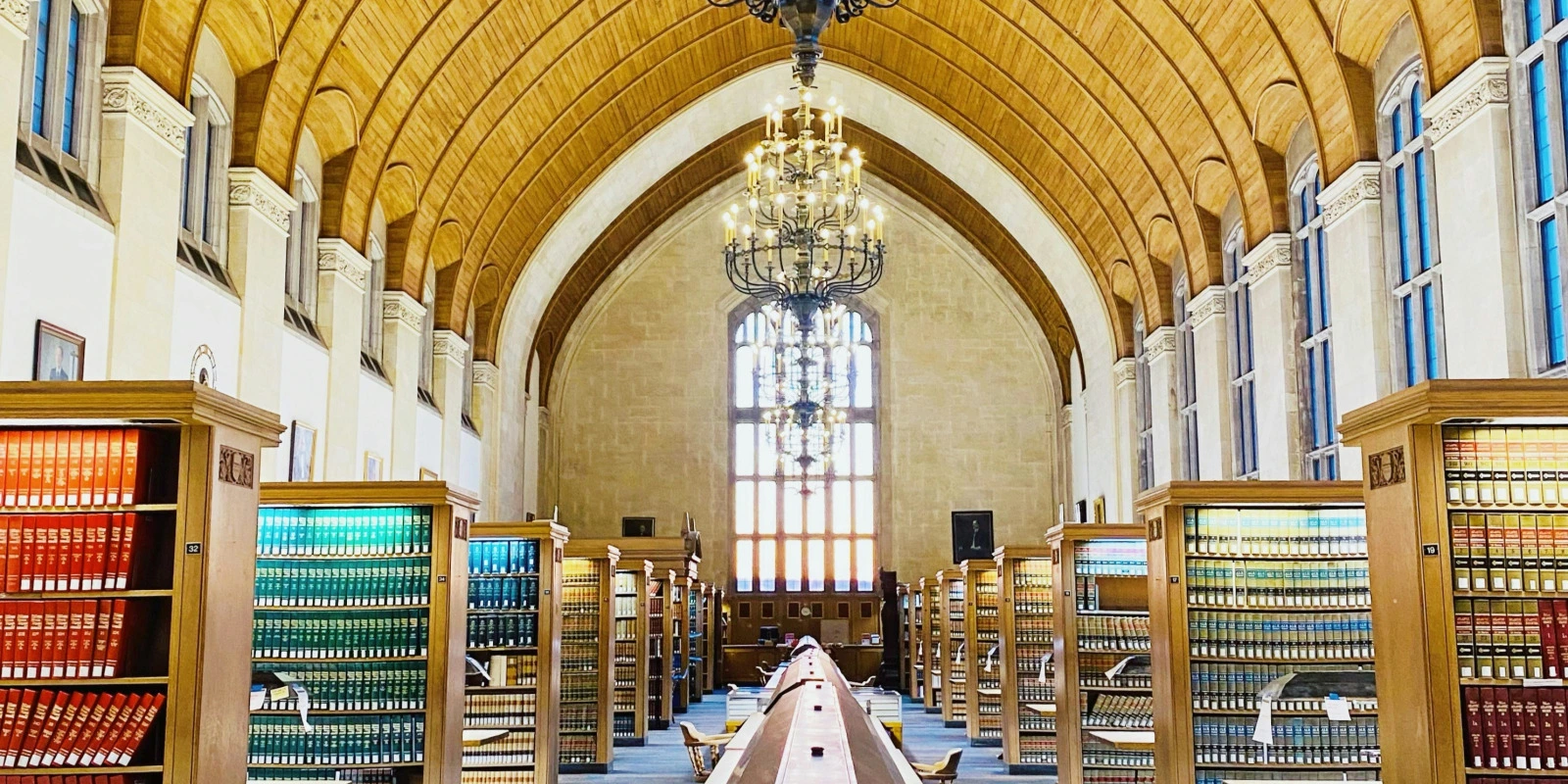 Licence Philosophie : Programme et Difficultés